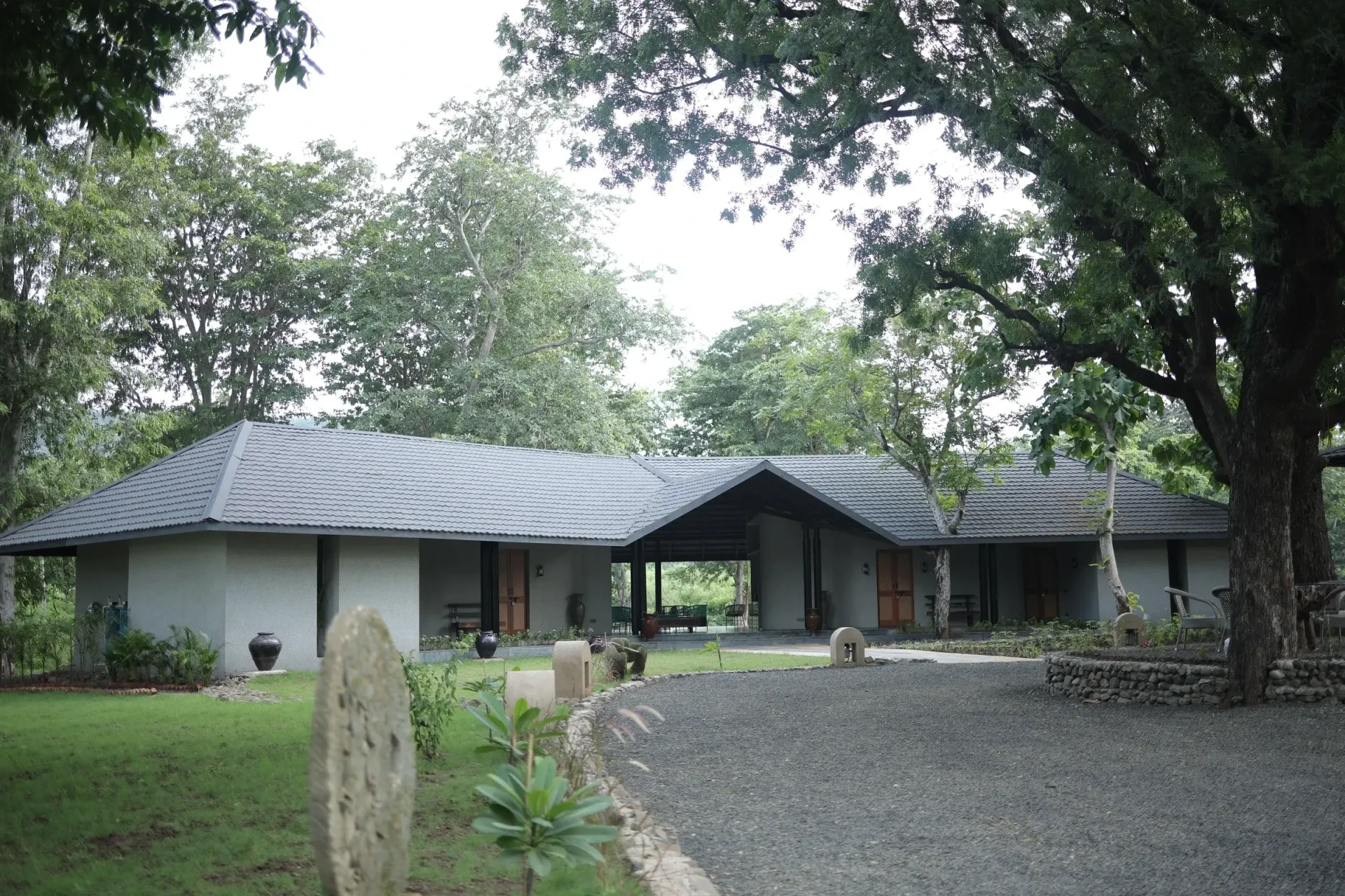 Forest Setting